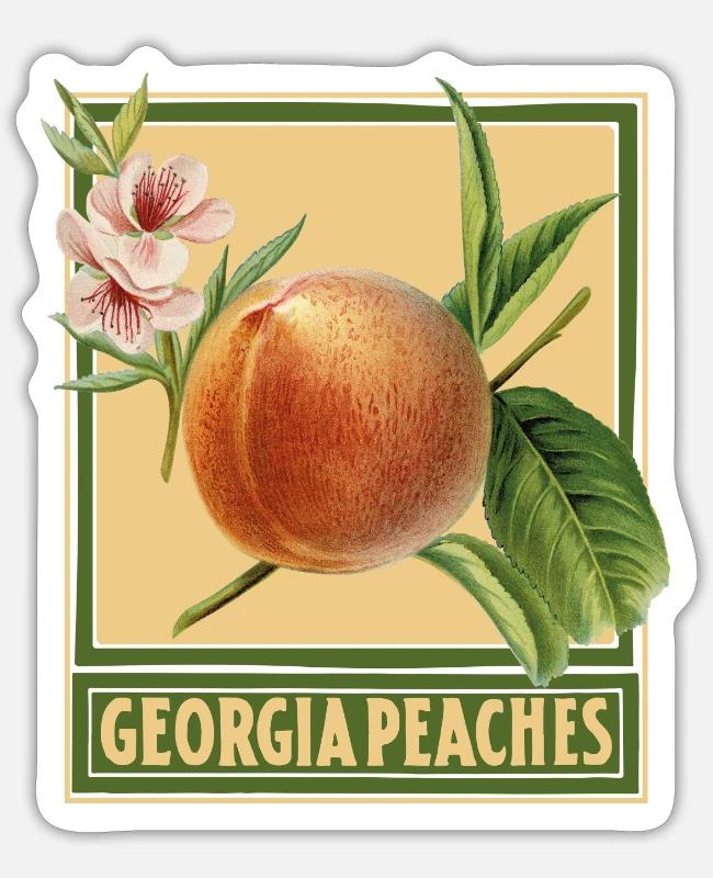 Georgia Peaches / Summer Design on Sticker